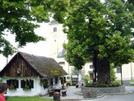 GUPČEVA LIPA