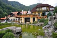 RESTORAN ZELENJAK 