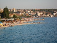 GRADINA, SMOKVICA, OTOK KORČULA