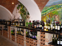 IZLOŽBA VINA MOSLAVINA, KUTINA, SVIBANJ 2014.