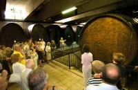 ERDUTSKA VINA - GRAŠEVINA, RAJNSKI RIZLING, CHARDONNAY, ZWEIGELT