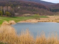 LJESKOVE VODE