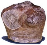 ARHEOLOŠKI MUZEJ GUDNJA, STON