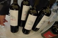 VRHUNSKO VINO DINGAČ - POLJOPRIVREDNA ZADRUGA I VINARIJA DINGAČ, POTOMJE