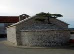 CRNI BOR, NEREŽIŠĆA - OTOK BRAČ