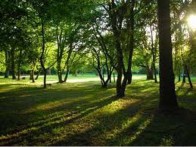 PARK ŠUMA ZLATNI RT