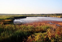 ORNITOLOŠKI PARK PALUD, ROVINJ