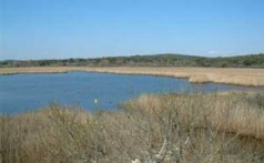 ORNITOLOŠKI PARK PALUD, ROVINJ
