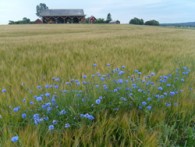 ISTARSKI VRT LEPTIRA, EKO CENTAR EIA