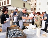 MALA RIBARSKA AKADEMIJA SARDELA, FAŽANA, od svibnja do rujna 