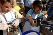 MALA RIBARSKA AKADEMIJA SARDELA, FAŽANA, od svibnja do rujna 