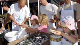 MALA RIBARSKA AKADEMIJA SARDELA, FAŽANA, od svibnja do rujna 