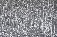 GALERIJA RIGO, NOVIGRAD