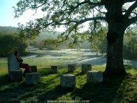 ALEJA GLAGOLJAŠA, ROČ - HUM