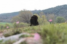 PARK SKULPTURA DUŠANA DŽAMONJE