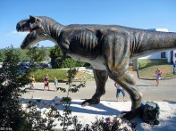DINOPARK, FUNTANA