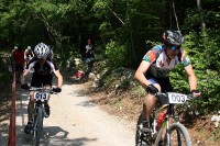 BIKE STAZA BUZET SJEVER