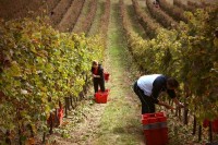 SEOSKI TURIZAM VUGLEC BREG