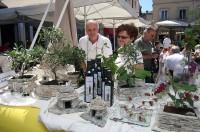 ISTRIAN HAND MADE SAJAM, PULA