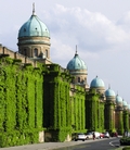 MIROGOJ