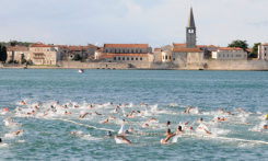 16. POREČKI DELFIN, POREČ