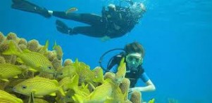 PODMORJE LASTOVSKOG OTOČJA