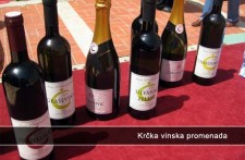 KRČKA VINSKA PROMENADA, SVIBANJ 
