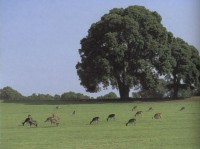 NACIONALNI PARK BRIJUNI