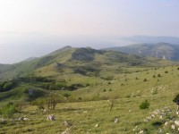 PLOMINSKA GORA