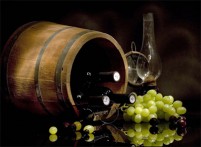 DAN VINA - WINE DAY, 25.05.2014.