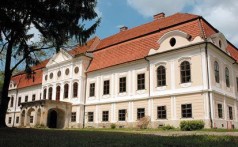 DVORAC GROFA JANKOVIĆA, DARUVAR
