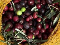 IŠKO MASLINOVO ULJE