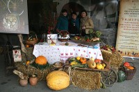 BUČIJADA U IVANIĆU, IVANIĆ-GRAD, LISTOPAD 2013.