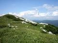 Gorski kotar i Kvarner, od svježine planina do svježine mora