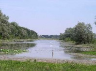 PRIRODNI REZERVAT GAJNA