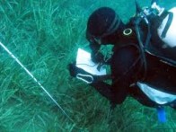 PODMORJE LASTOVSKOG OTOČJA