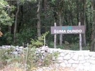 ŠUMA DUNDO, OTOK RAB