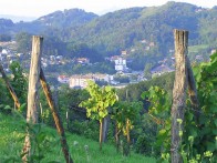 TOPLIČKI PJEŠAČKI PRSTEN