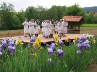 SVEČANOST PERUNIKA, DONJA STUBICA, 20.05.2017.