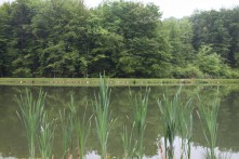 SPORTSKO - REKREACIJSKO JEZERO JARKI 