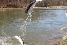 SPORTSKO - REKREACIJSKO JEZERO JARKI 