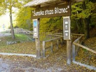 ŠUMSKA STAZA BLIZNEC
