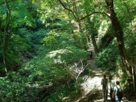 PARK ŠUMA DOTRŠČINA