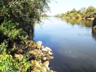 ORNITOLOŠKI REZERVAT SAVA – STRMEC