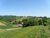 SVETONEDELJSKI BREGI