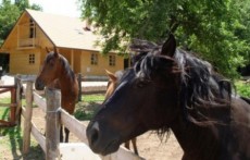 JAHANJE U JELOVU KLANCU