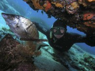 LIJEPO, ČISTO I BOGATO PODMORJE