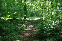 PARK ŠUMA ŽUPETNICA