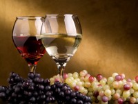 VINA VINARIJE OPAČAK, TUČEPI