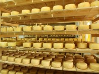 SIRANA RUNOLIST, OTOČAC